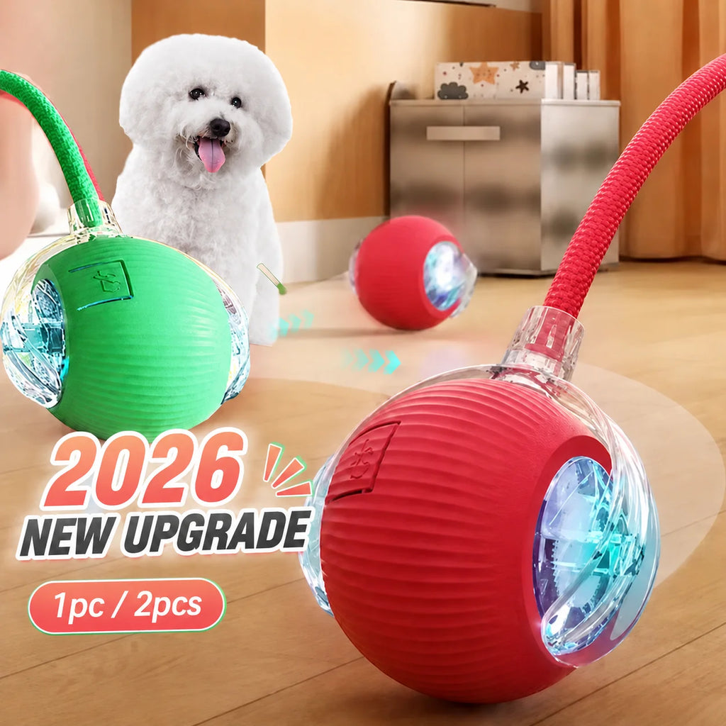 Smart Interactive Rolling Dog Ball
