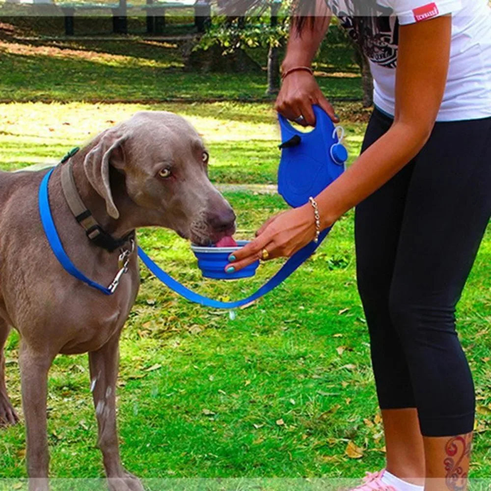Multifunctional 4-in-1 Pet Leash