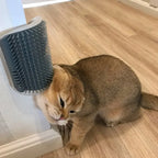 Wall-Mounted Cat Corner Massager