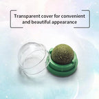 Rotatable Natural Catnip Wall Ball