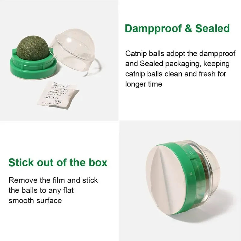 Rotatable Natural Catnip Wall Ball