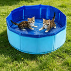 Portable Outdoor Pet Play Pool