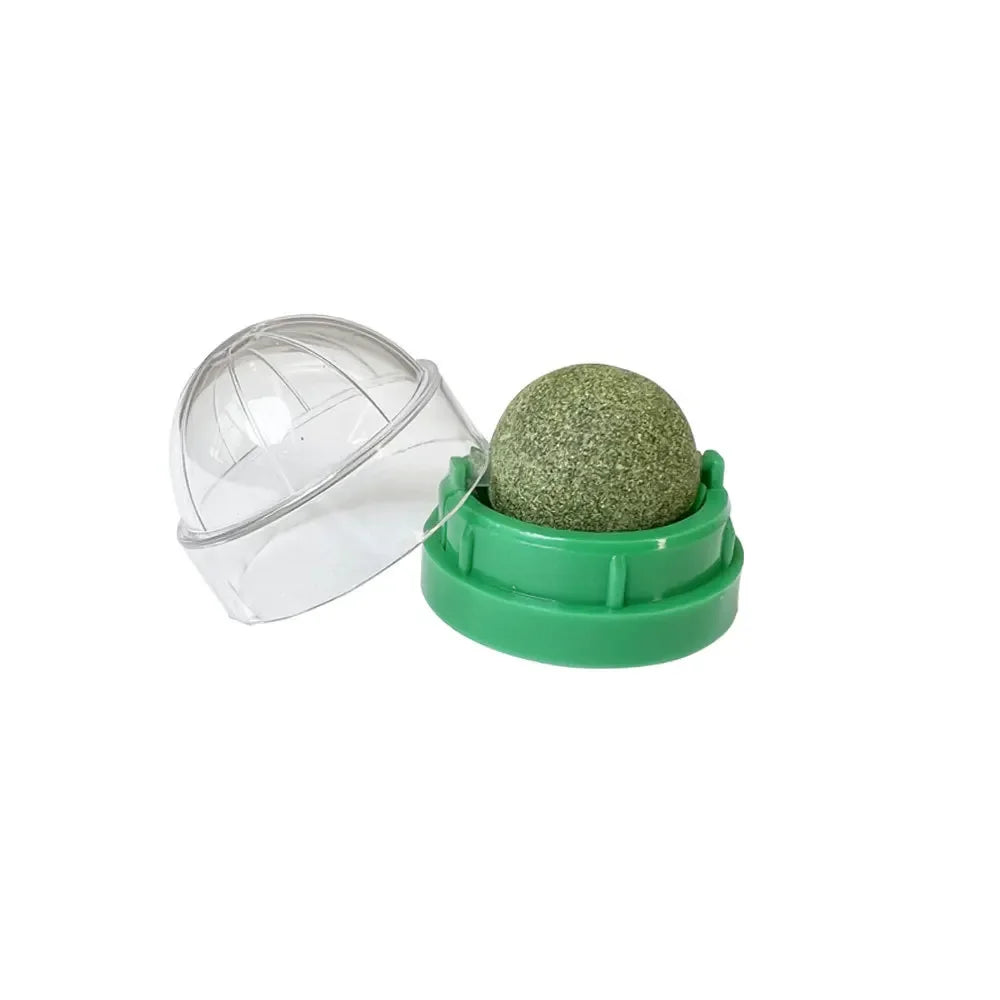 Rotatable Natural Catnip Wall Ball
