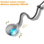 Smart Interactive Rolling Dog Ball