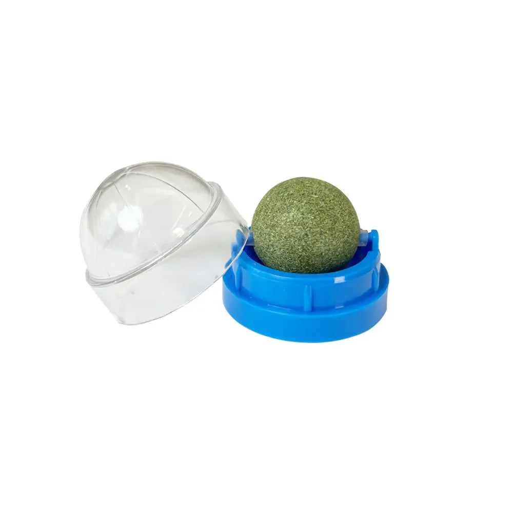 Rotatable Natural Catnip Wall Ball