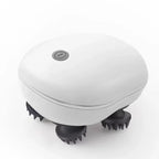 Smart Red-Light Pet Massage