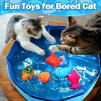 Portable Outdoor Pet Play Pool