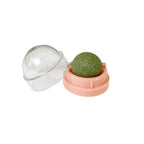 Rotatable Natural Catnip Wall Ball