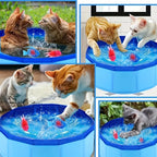 Portable Outdoor Pet Play Pool