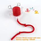 Smart Interactive Rolling Dog Ball