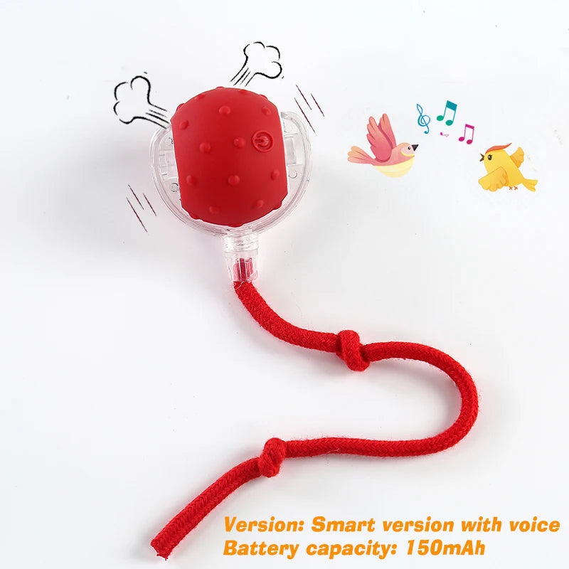 Smart Interactive Rolling Dog Ball