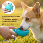 Stainless Steel Pet Hydration Bottle