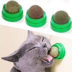 Rotatable Natural Catnip Wall Ball