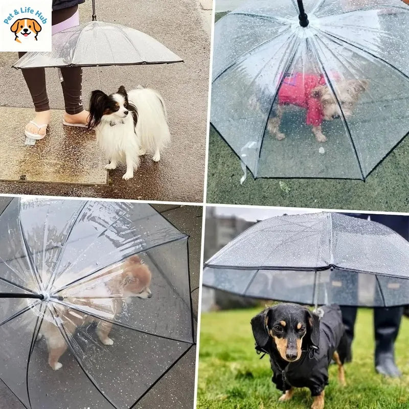 Clear Dog Umbrella with Built-In Leash