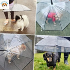 Clear Dog Umbrella with Built-In Leash