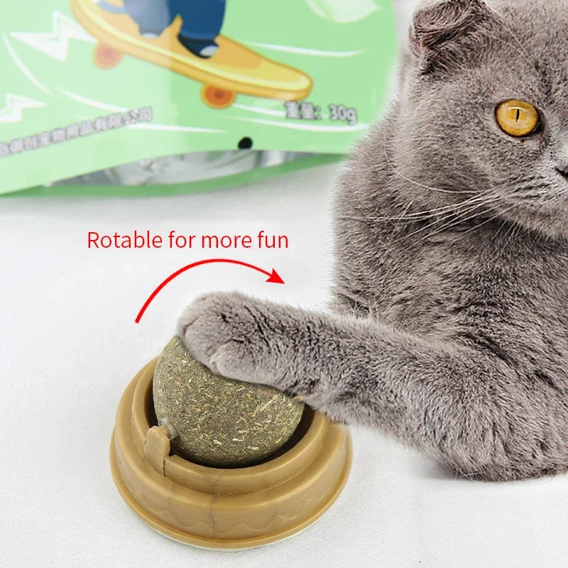 Rotatable Natural Catnip Wall Ball