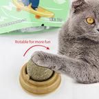 Rotatable Natural Catnip Wall Ball