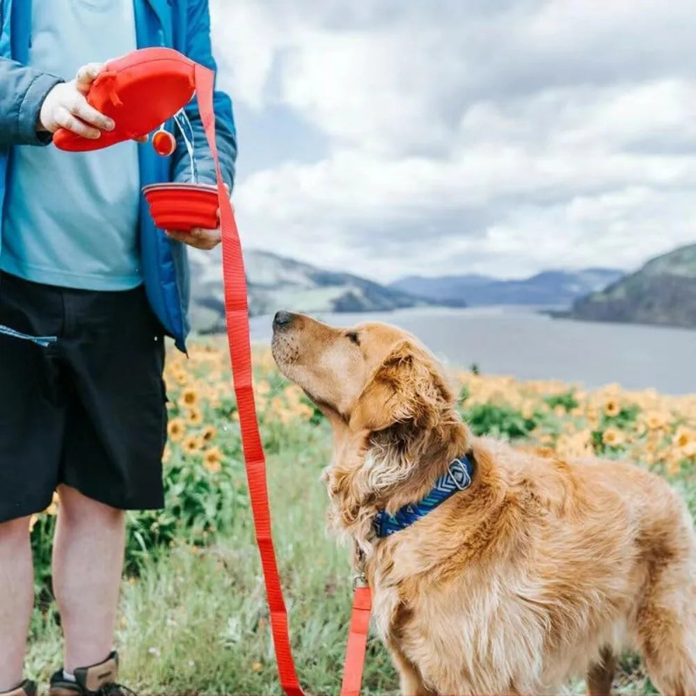 Multifunctional 4-in-1 Pet Leash