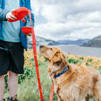 Multifunctional 4-in-1 Pet Leash