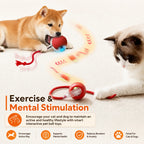 Smart Interactive Rolling Dog Ball