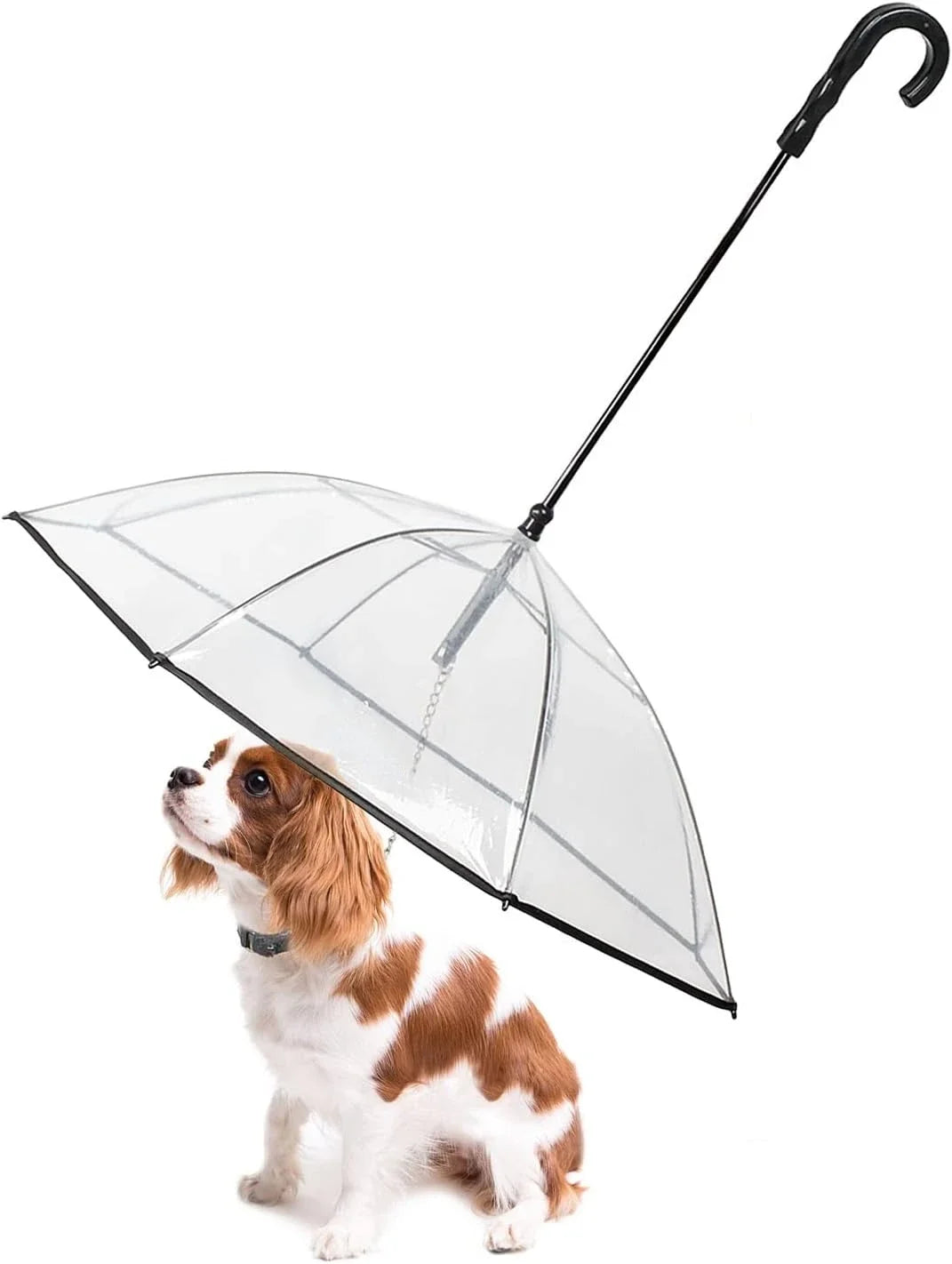 Clear Dog Umbrella with Built-In Leash