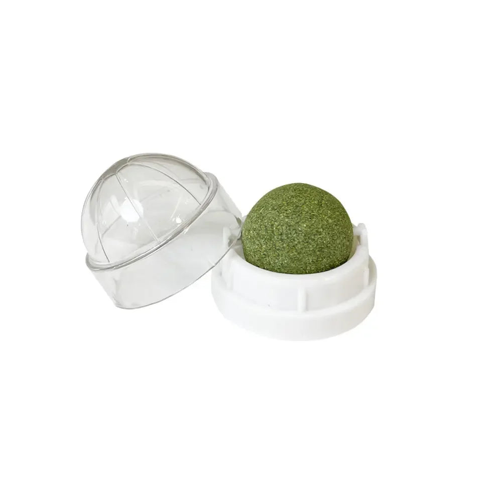 Rotatable Natural Catnip Wall Ball