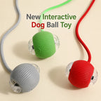 Smart Interactive Rolling Dog Ball