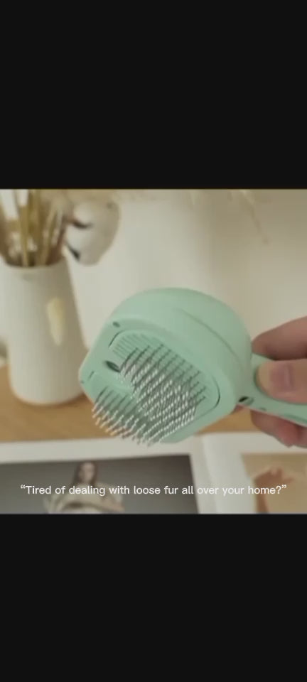 Pet Water Mist Spray Comb